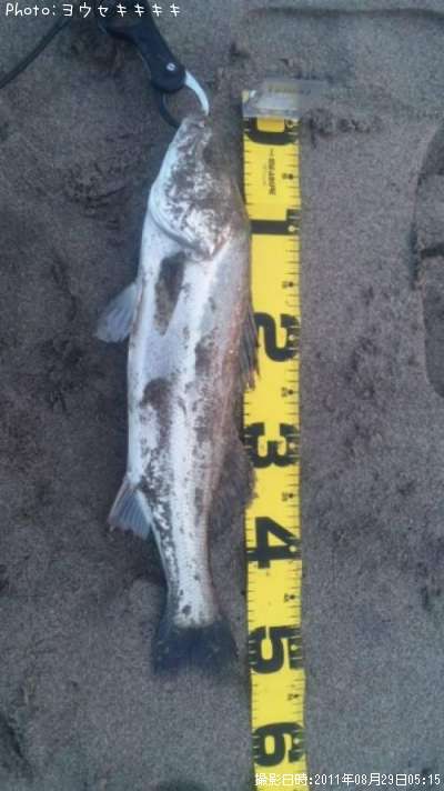 �����Х�