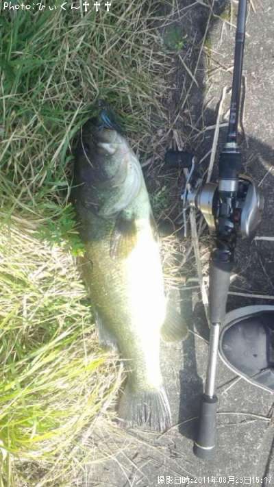 �֥�å��Х�