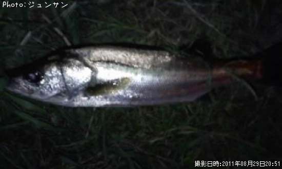 �����Х�