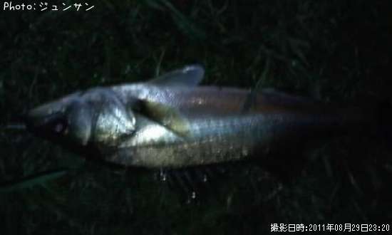 �����Х�