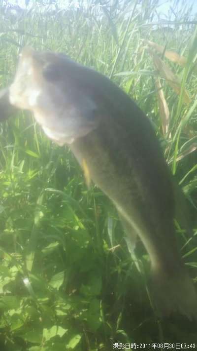 �֥�å��Х�