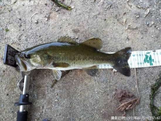 �֥�å��Х�