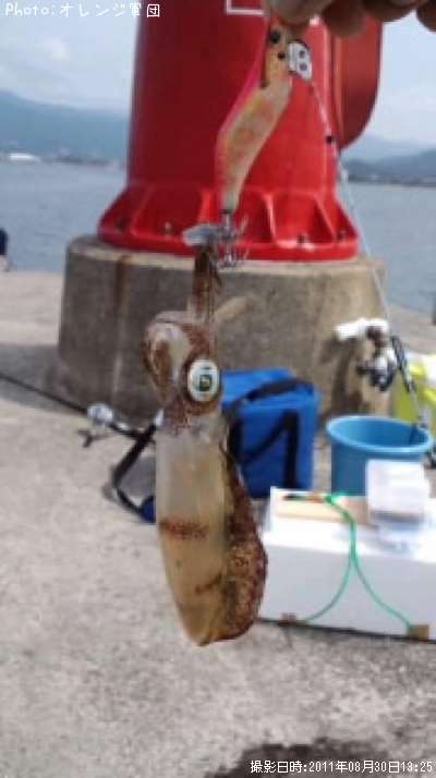 �����ꥤ��