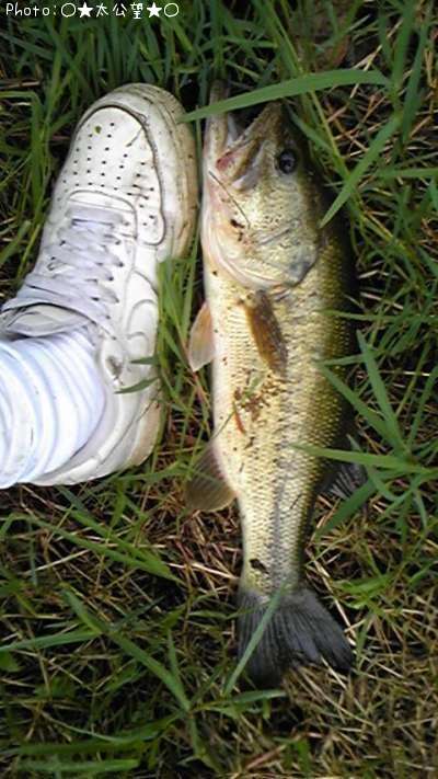 �֥�å��Х�