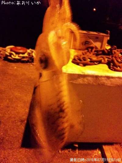 �����ꥤ��