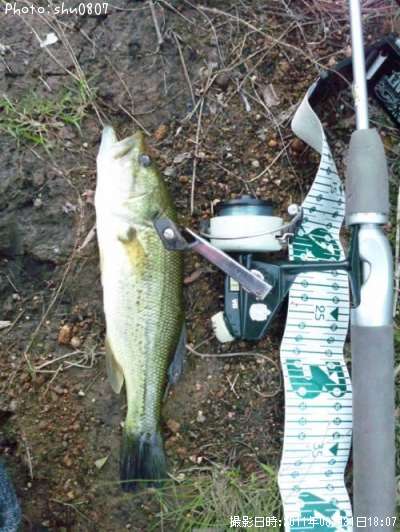 �֥�å��Х�