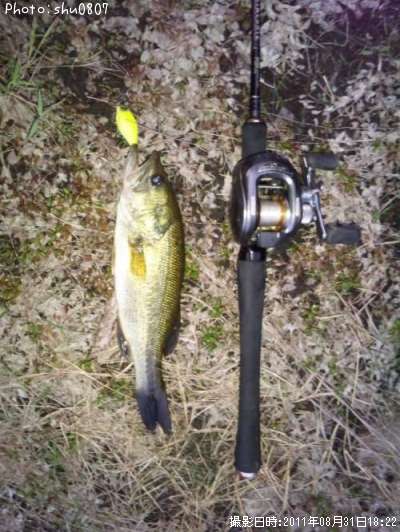 �֥�å��Х�