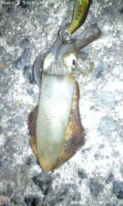 �����ꥤ��