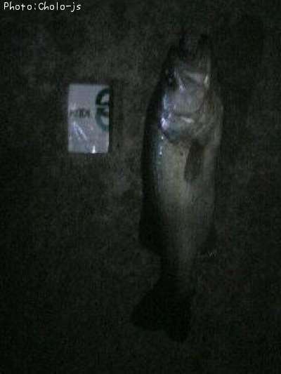 �֥�å��Х�