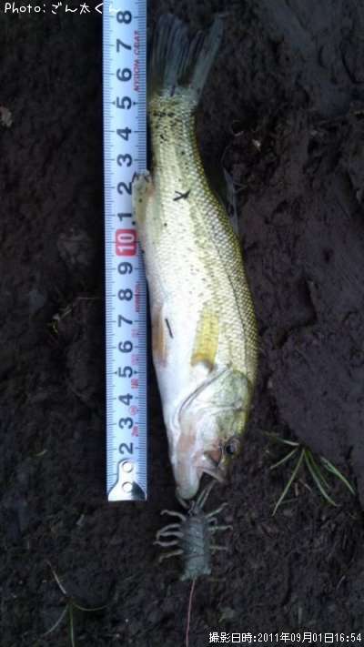 �֥�å��Х�