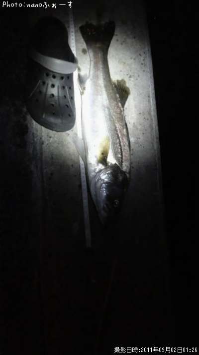 �����Х�