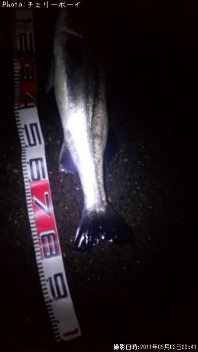 �����Х�