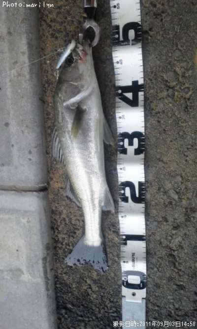 �����Х�