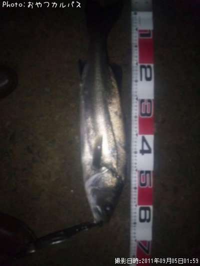 �����Х�