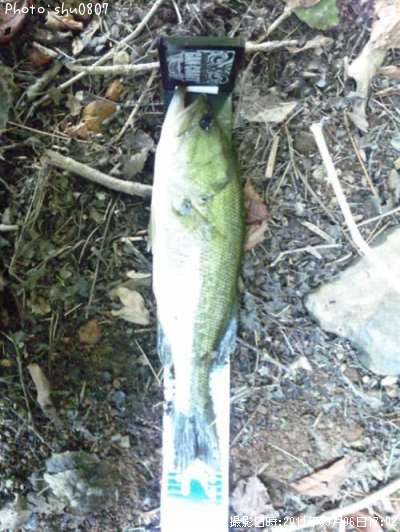 �֥�å��Х�