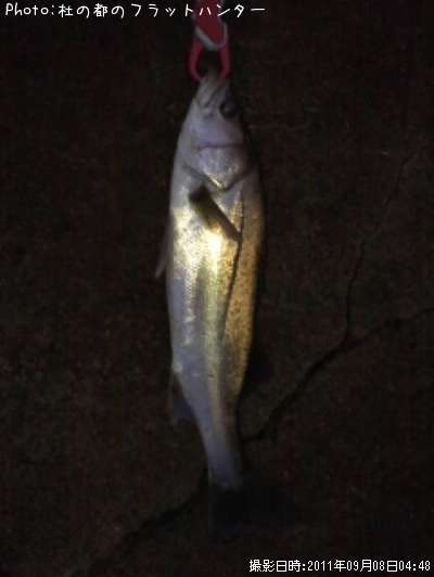 �����Х�