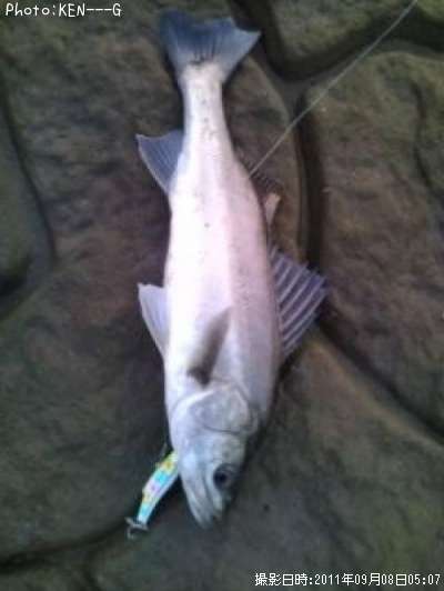 �����Х�