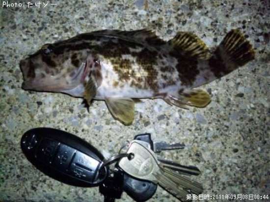 �����Υ���Х�