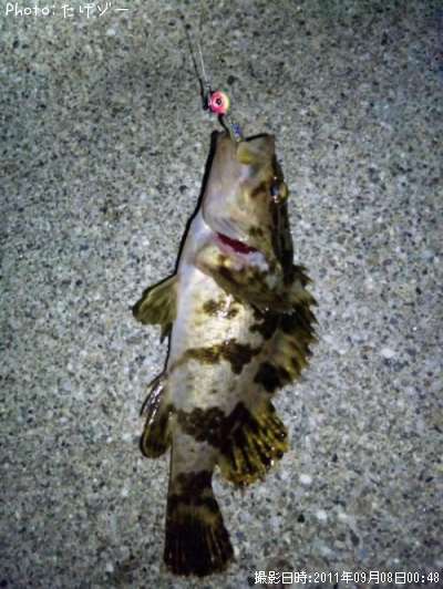 �����Υ���Х�