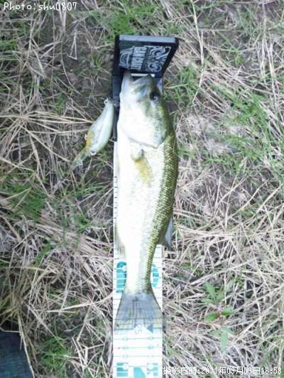 �֥�å��Х�