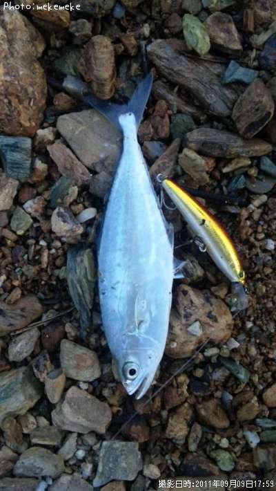 �������ĥ�