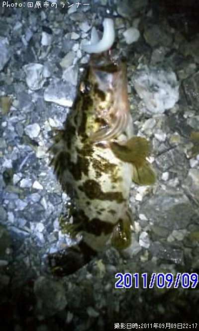 �����Υ���Х�