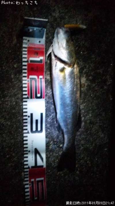 �����Х�