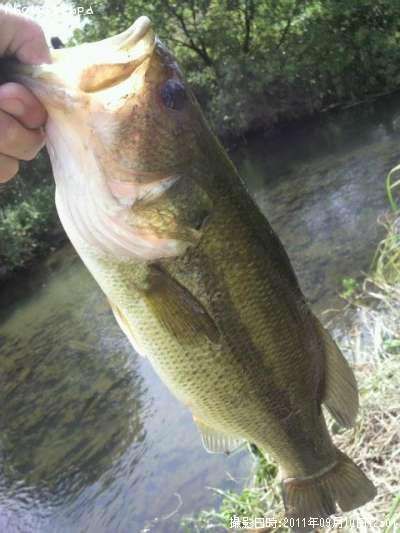 �֥�å��Х�