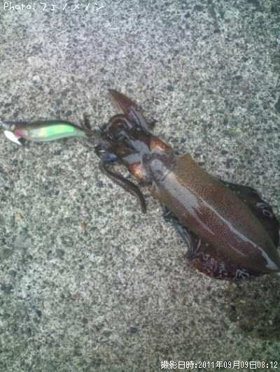 �����ꥤ��