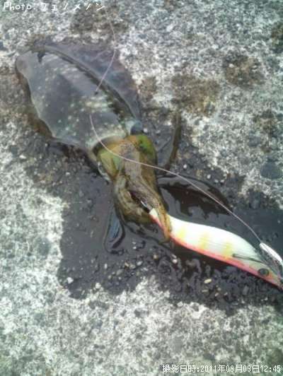 �����ꥤ��