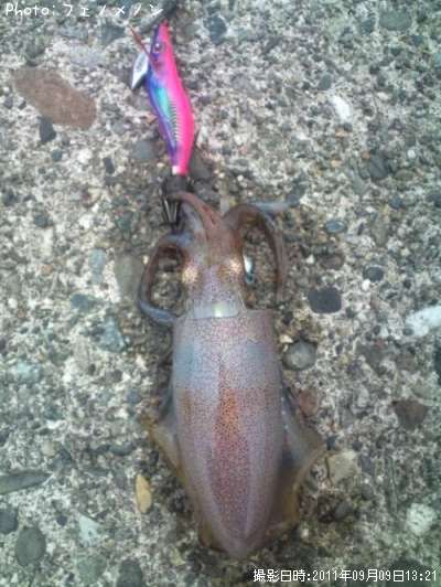 �����ꥤ��