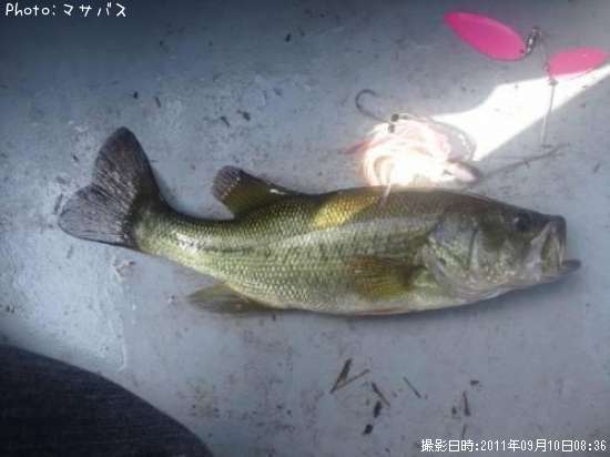 �֥�å��Х�