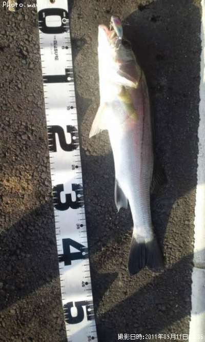 �����Х�