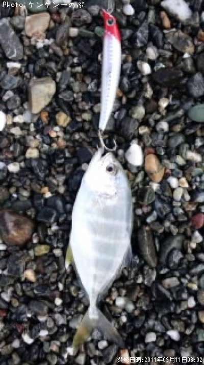 ���Сʥ�å���