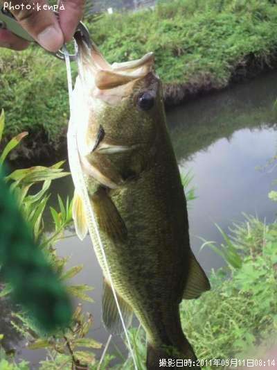 �֥�å��Х�