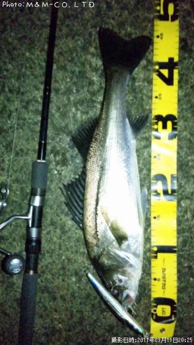 �����Х�