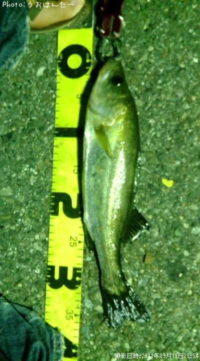 �����Х�