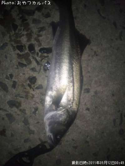 �����Х�