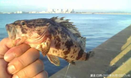 �����Υ���Х�