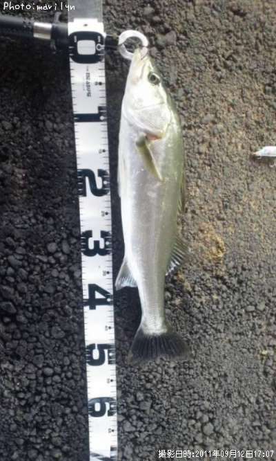 �����Х�