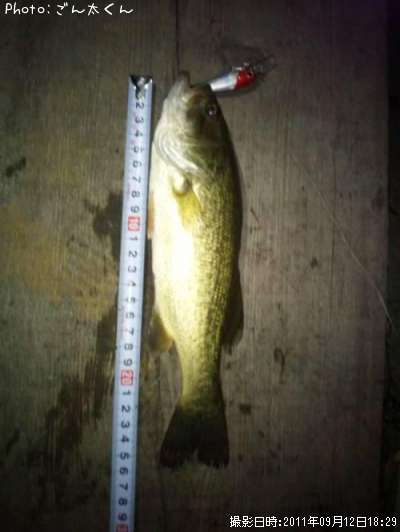 �֥�å��Х�