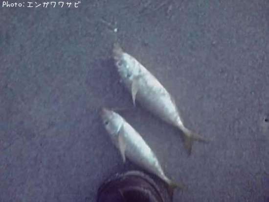 ����