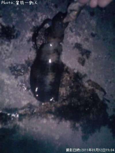 �����ꥤ��