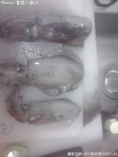 �����ꥤ��