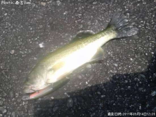 �֥�å��Х�