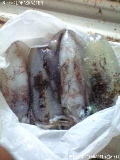 �����ꥤ��