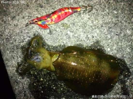 �����ꥤ��