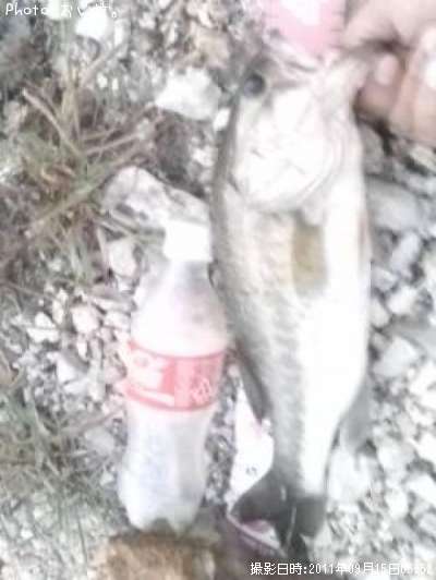 �֥�å��Х�