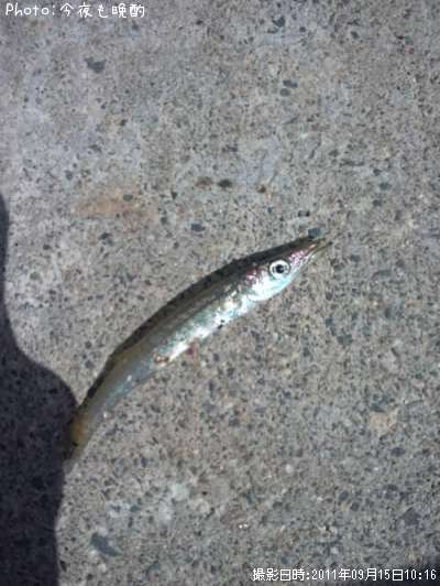 ���ޥ���