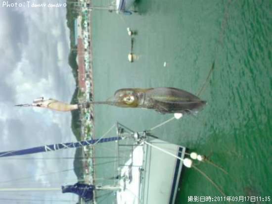 �����ꥤ��